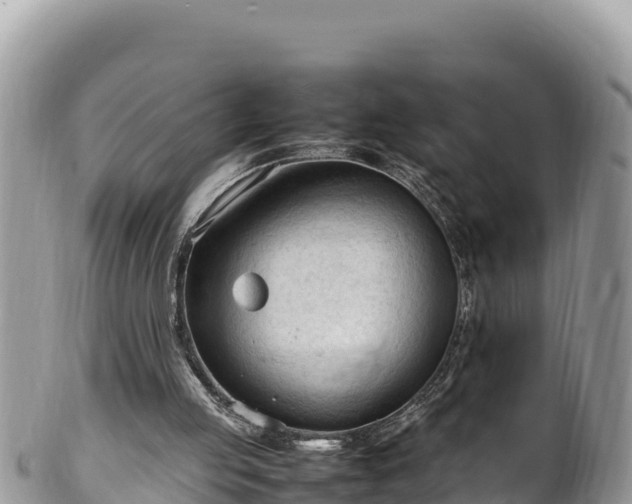 X0000102250053200808011320