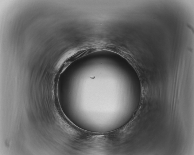 X0000102250054200808011320