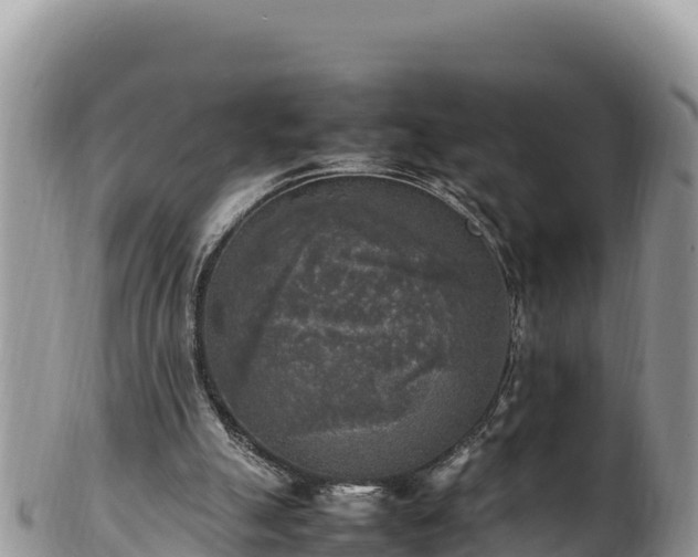 X0000102250055200808011320