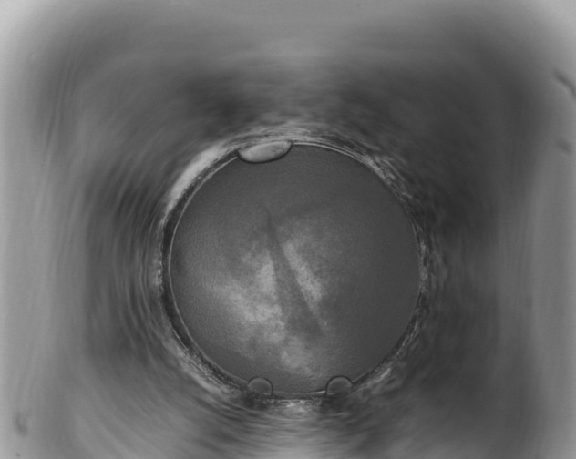 X0000102250056200808011320