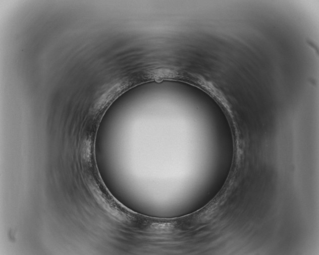 X0000102250057200808011320