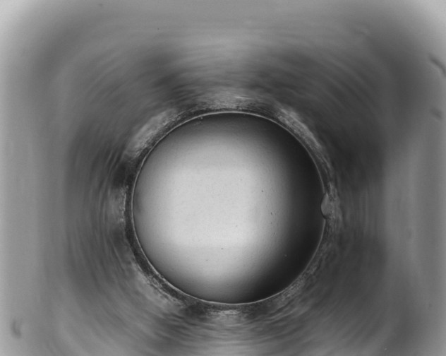 X0000102250058200808011320