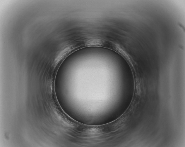 X0000102250059200808011320