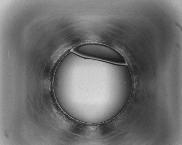 X0000102250060200808011320