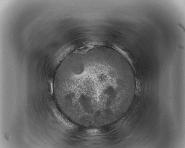 X0000102250061200808011320