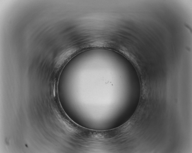 X0000102250062200808011320