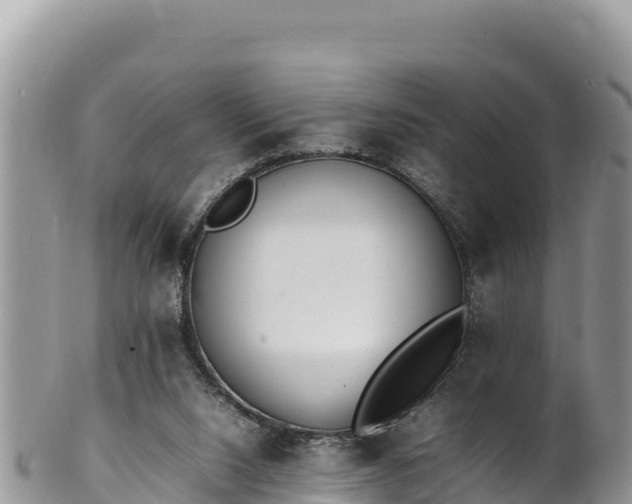 X0000102250064200808011320