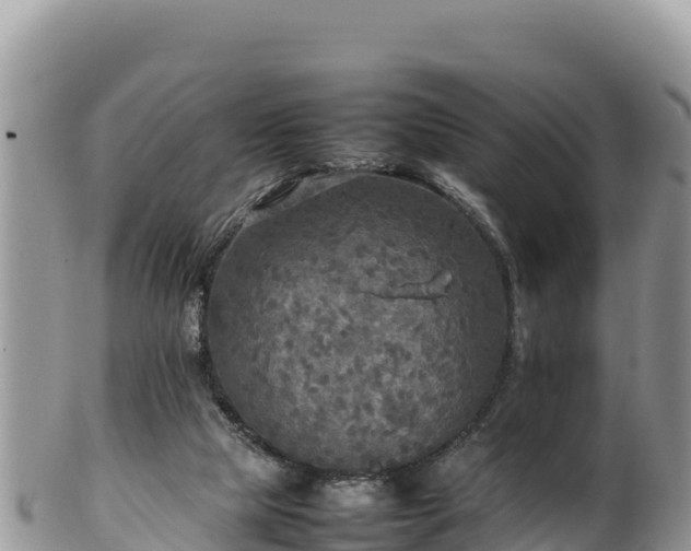 X0000102250065200808011320