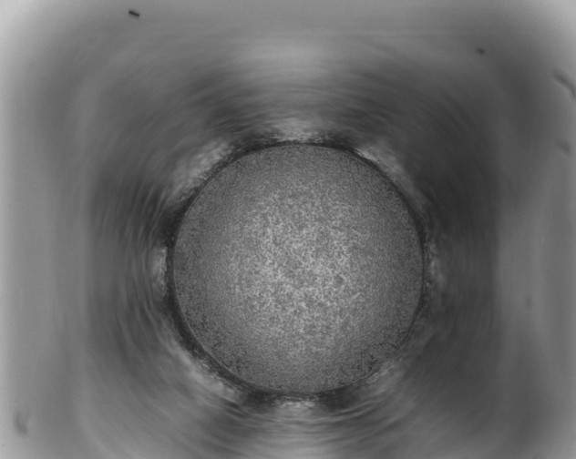 X0000102250066200808011320