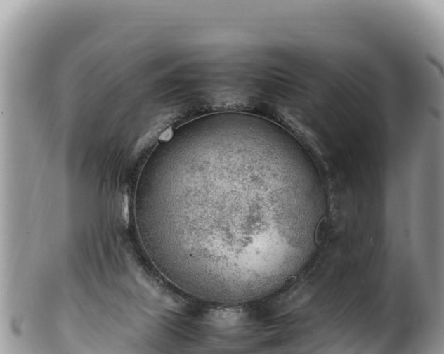 X0000102250067200808011320