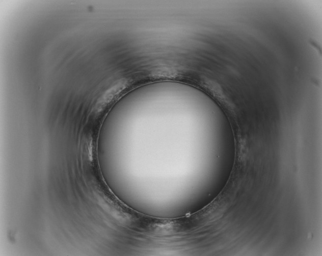 X0000102250068200808011320