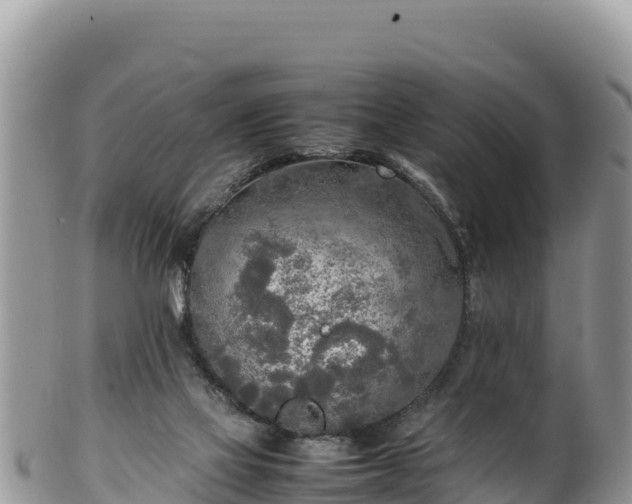 X0000102250069200808011320