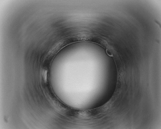 X0000102250070200808011320