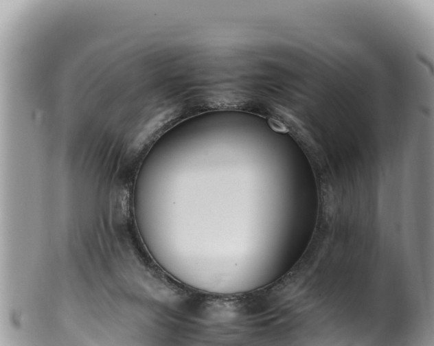 X0000102250071200808011320