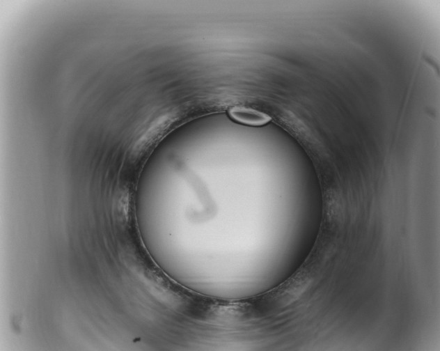 X0000102250072200808011320