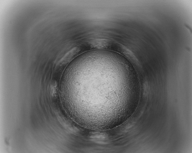 X0000102250073200808011320