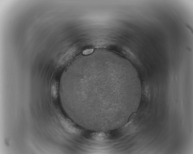 X0000102250074200808011320