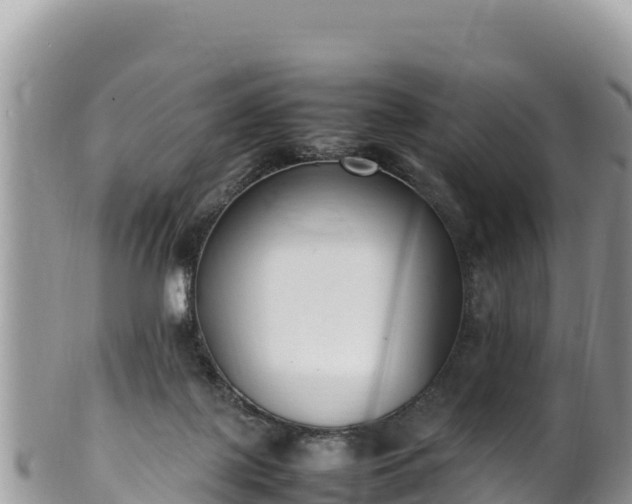 X0000102250075200808011320