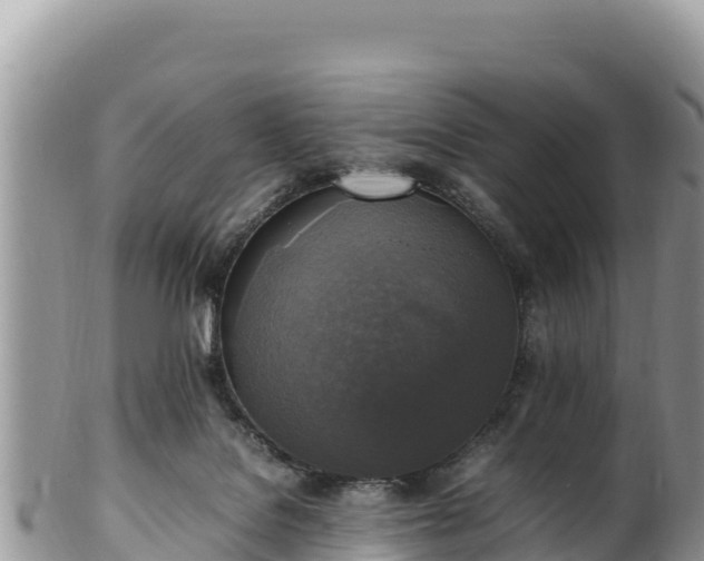 X0000102250076200808011320