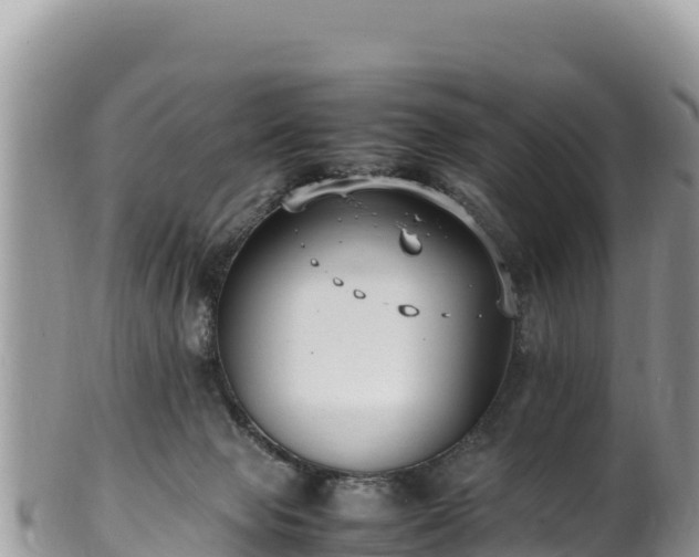 X0000102250077200808011320