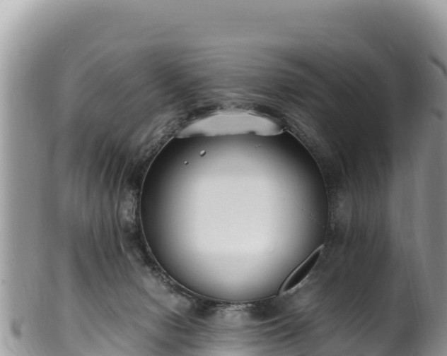 X0000102250078200808011320