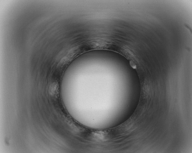 X0000102250079200808011320