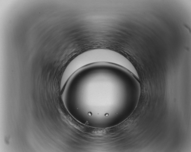 X0000102250084200808011321