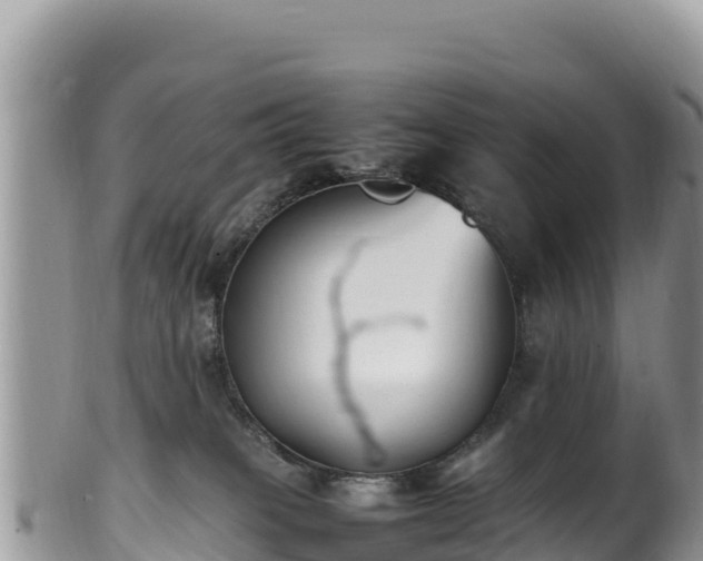 X0000102250085200808011321