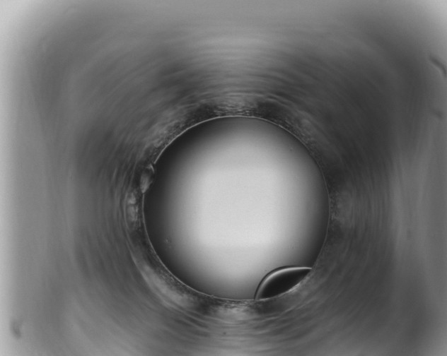 X0000102250086200808011321