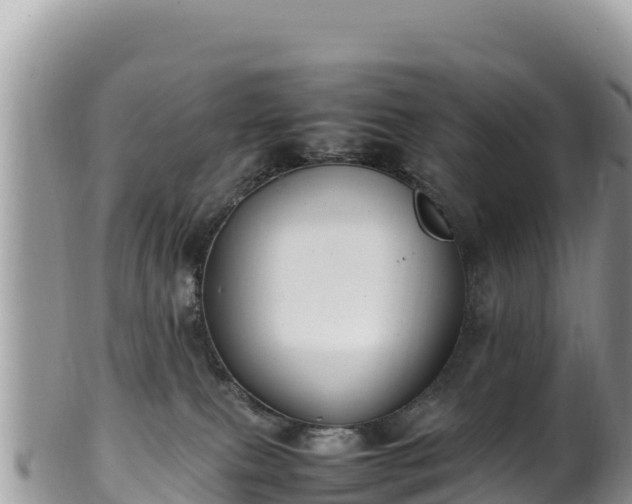 X0000102250087200808011321