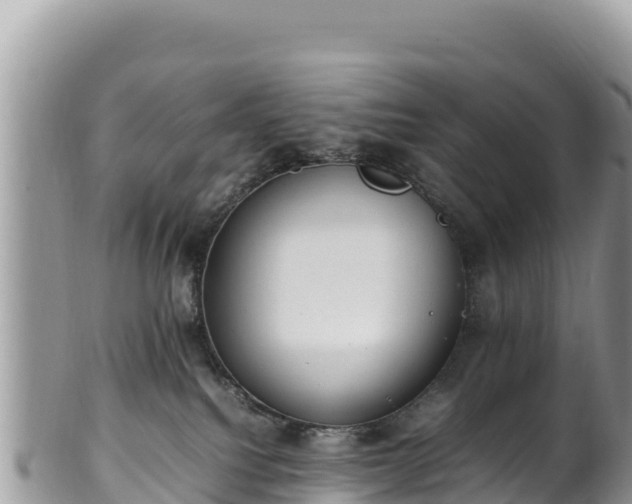 X0000102250088200808011321