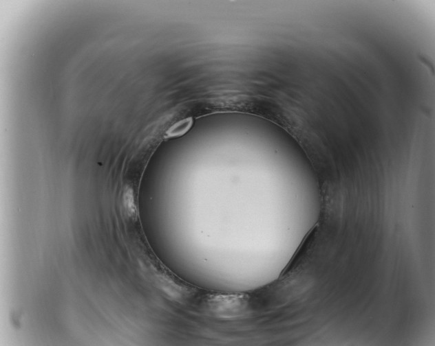 X0000102250089200808011321