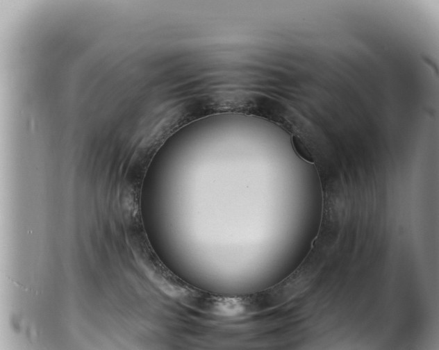 X0000102250091200808011321