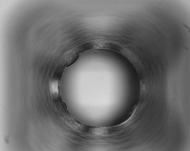 X0000102250094200808011321