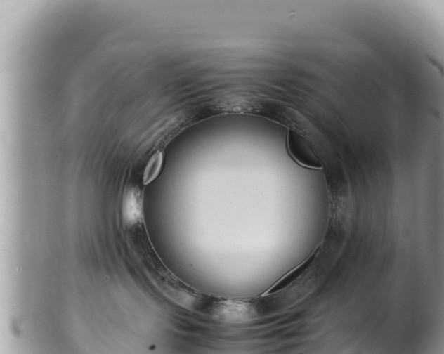 X0000102250095200808011321