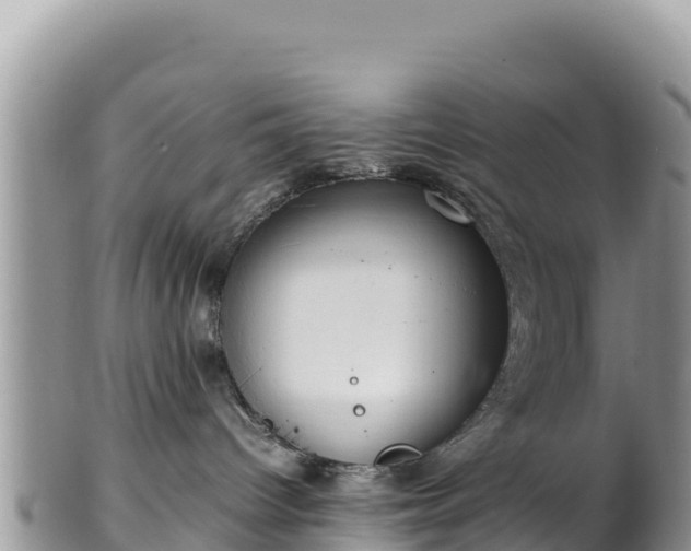 X0000102250096200808011321