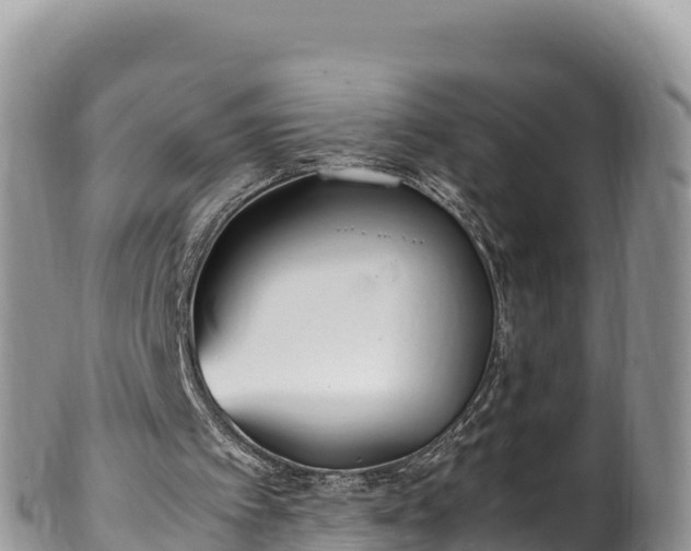 X0000102250097200808011320