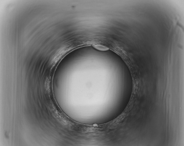 X0000102250098200808011320