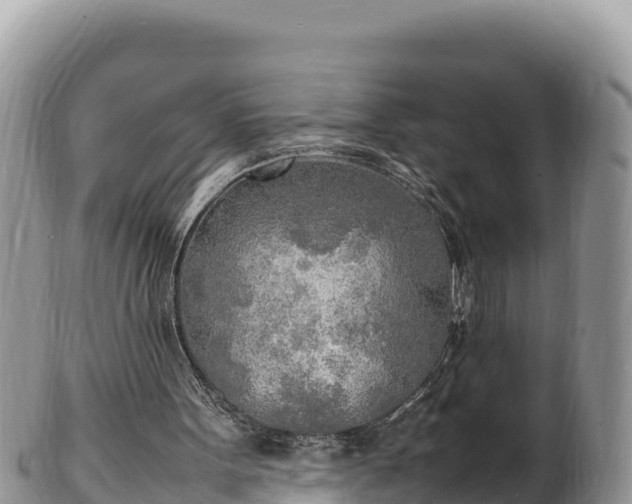 X0000102250099200808011320