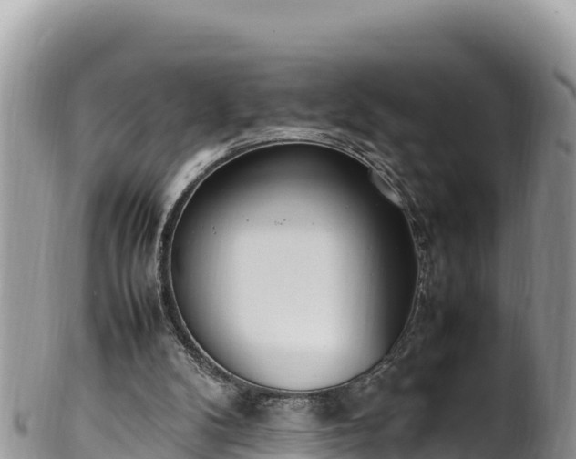 X0000102250104200808011320