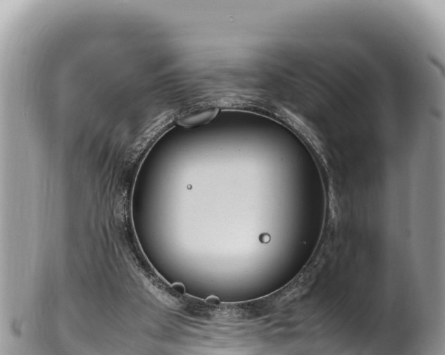 X0000102250105200808011320