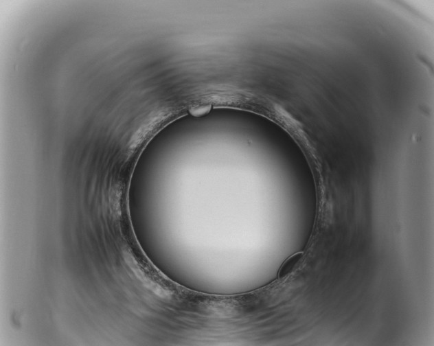 X0000102250106200808011320