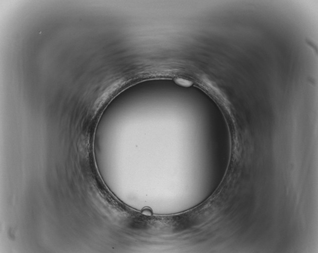 X0000102250107200808011320