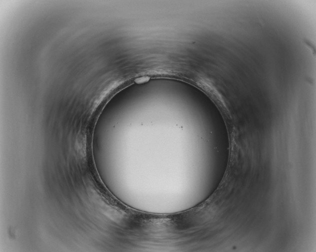 X0000102250108200808011320