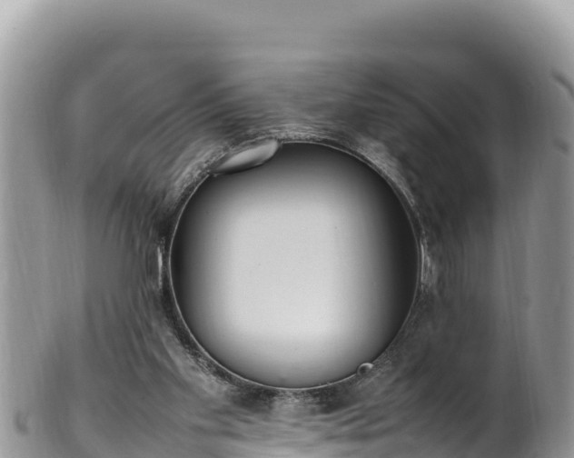 X0000102250109200808011320