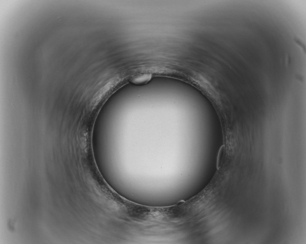 X0000102250111200808011320