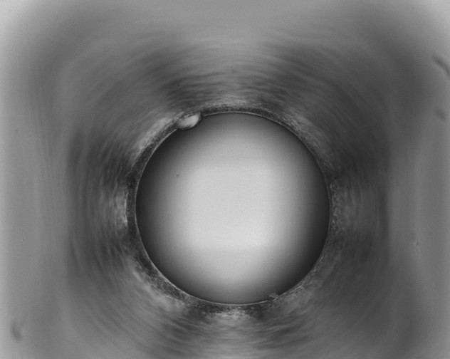 X0000102250112200808011320