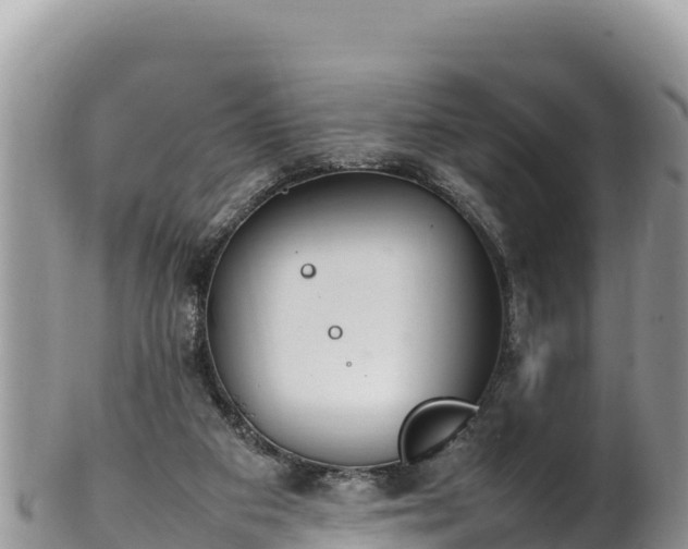 X0000102250113200808011320