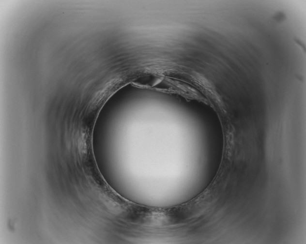 X0000102250114200808011320