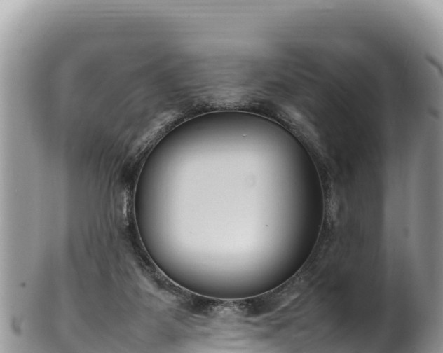 X0000102250115200808011320